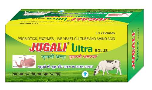 Jugali Ultra Bolus (Digestive & Rumen Care - off feed conditions) for cows, buffaloes, and livestock - Titanic Pharmaceuticals Pvt. Ltd.