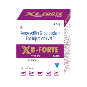 XB-FORTE INJ (Antibiotic - mastitis) for cows, buffaloes, and livestock - Titanic Pharmaceuticals Pvt. Ltd.
